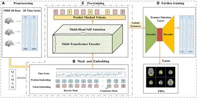 Multi-head attention-based masked sequence model for mapping functional brain networks